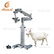 ophthalmology surgery microscope
